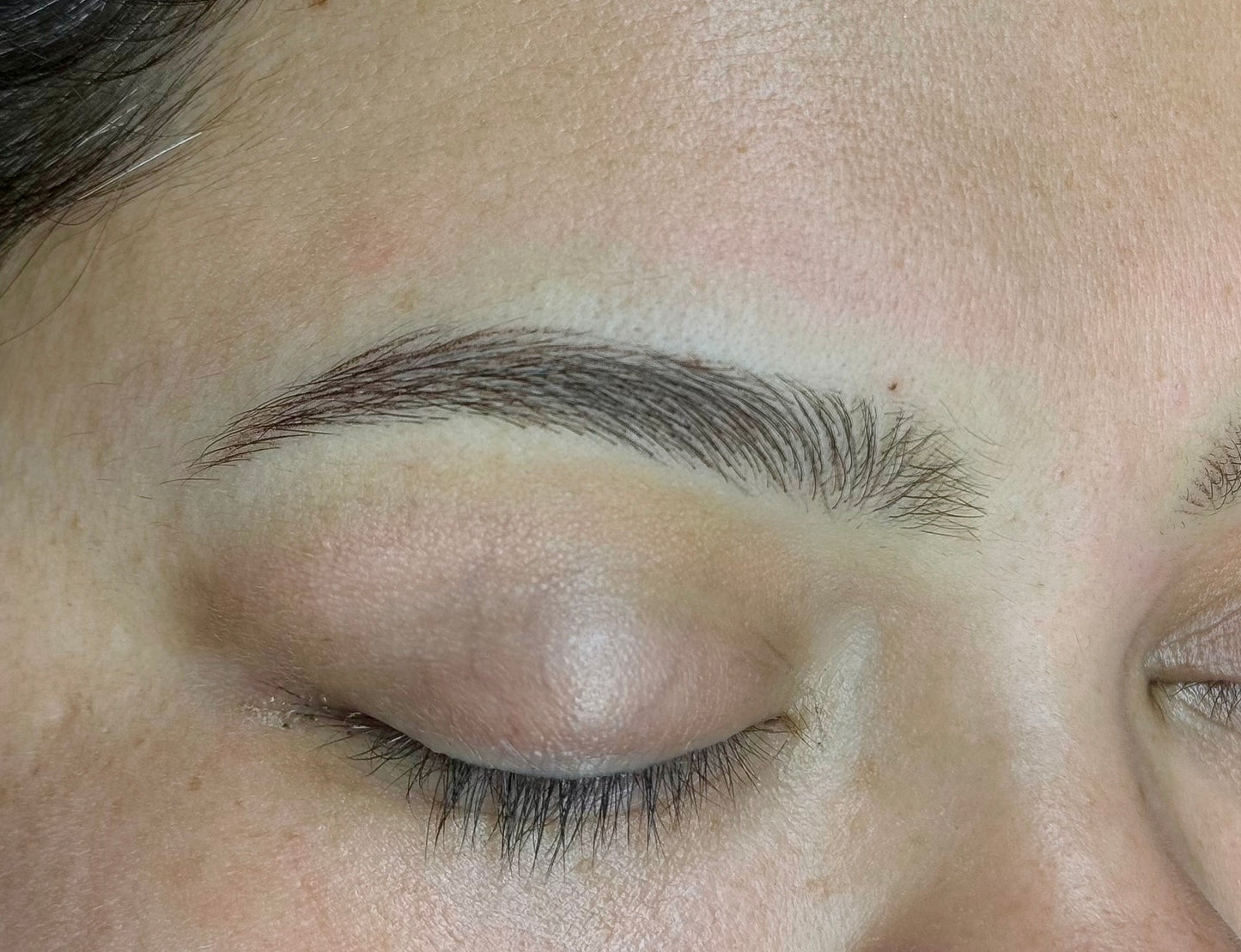 Delphi Brows con Carmela