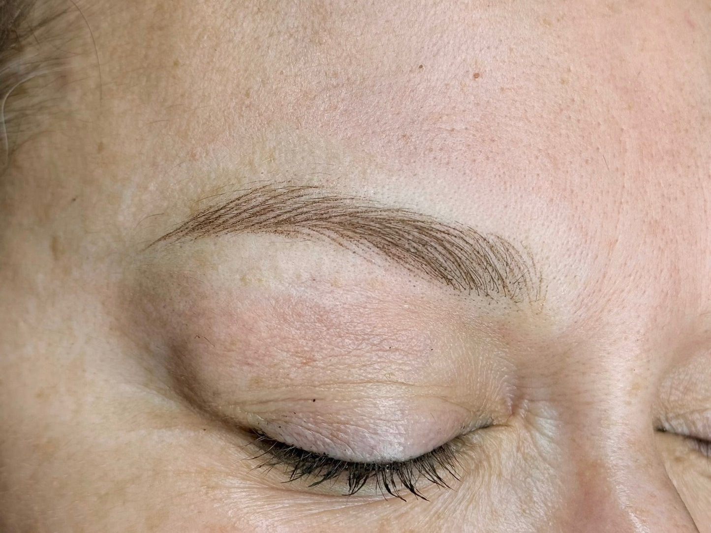 Delphi Brows con Carmela