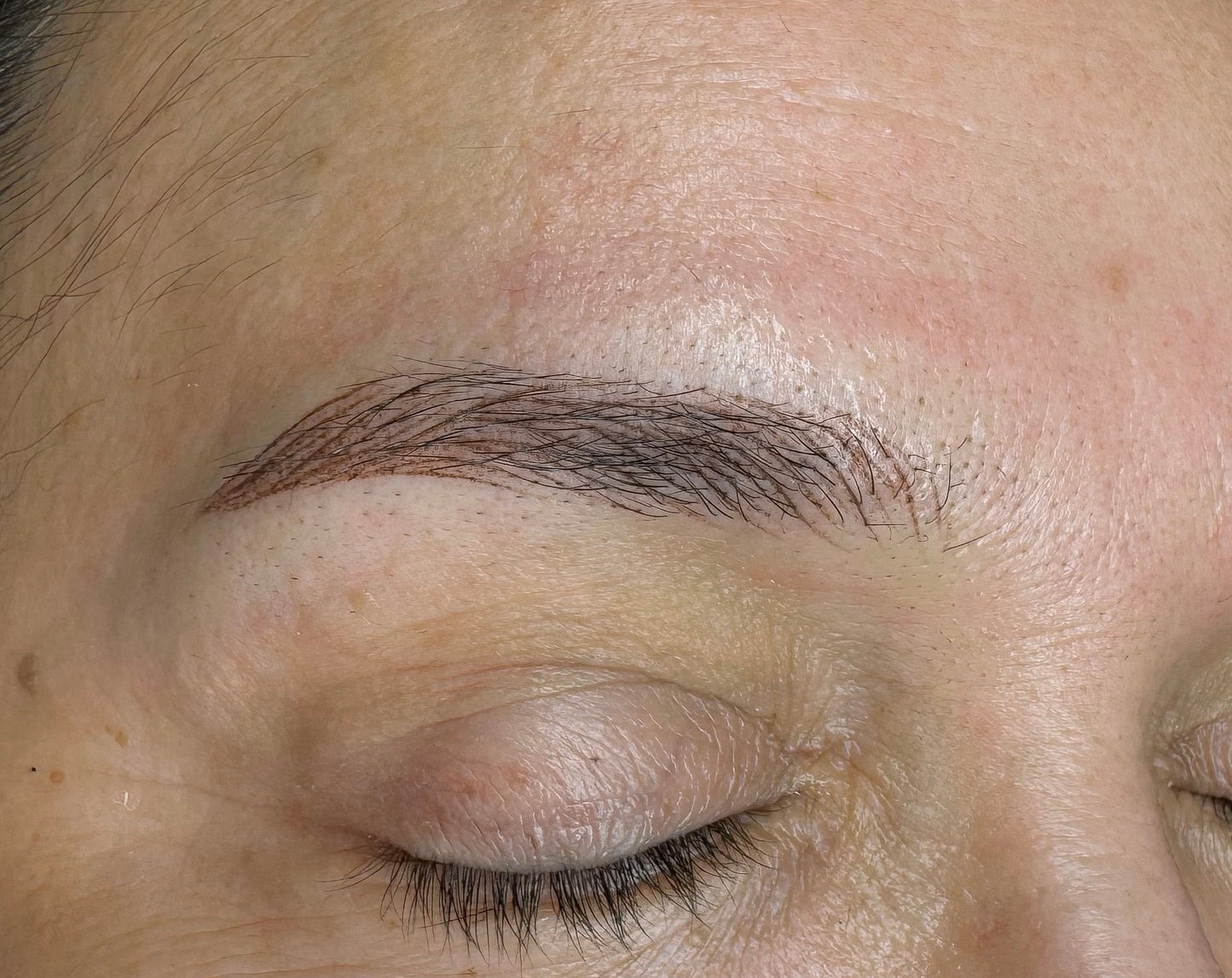 Delphi Brows con Carmela