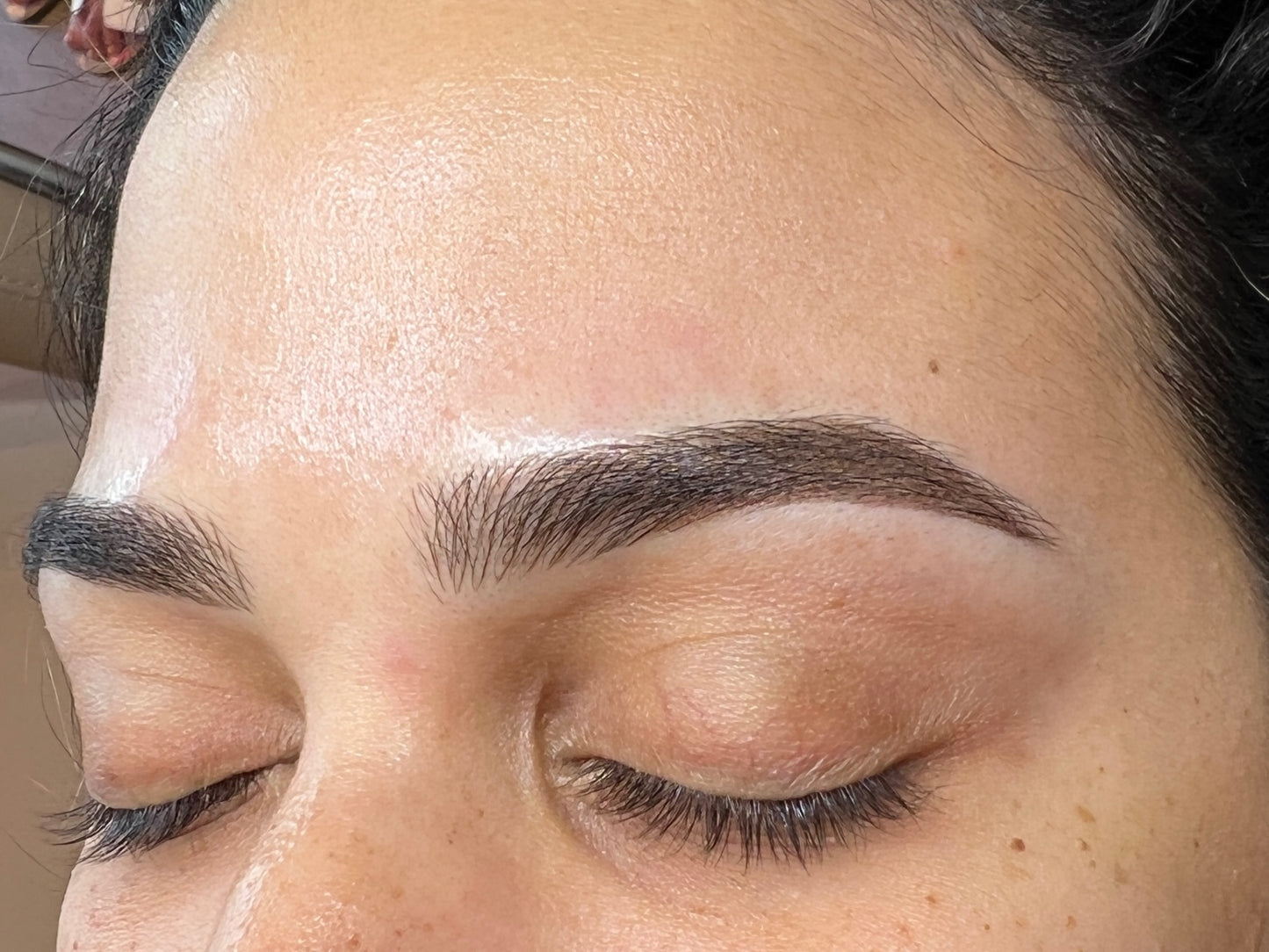 Latin Brows con Carmela