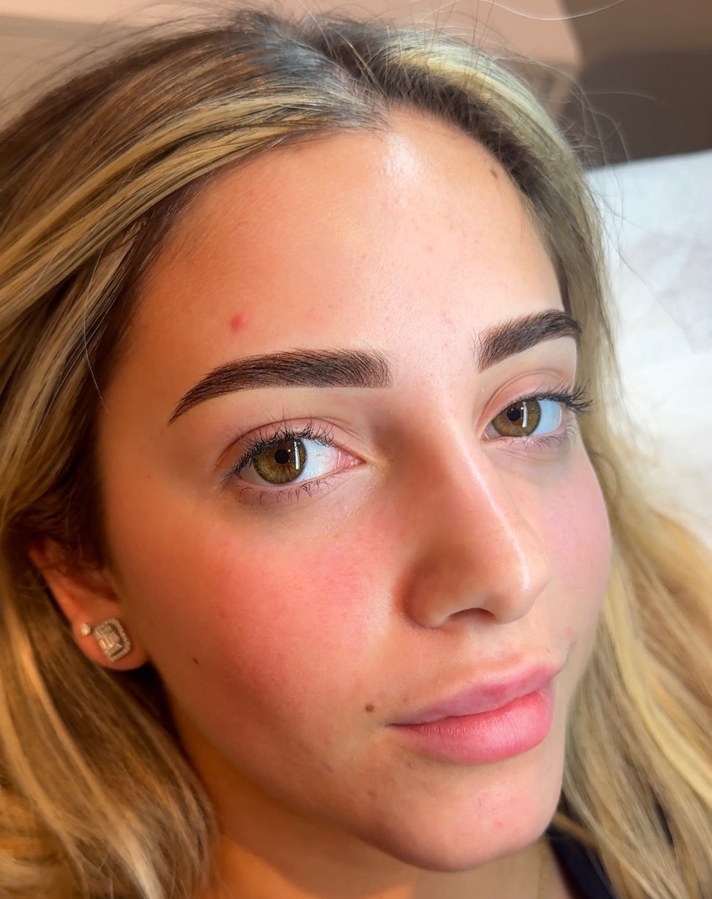 Powder Brows (team Sobeauty)