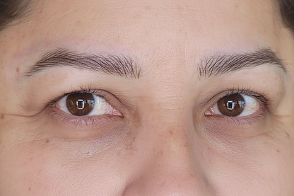 Nano Brows con Equipo