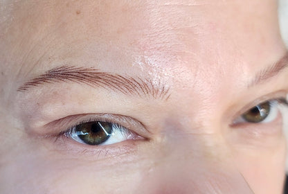 Nano Brows con Equipo