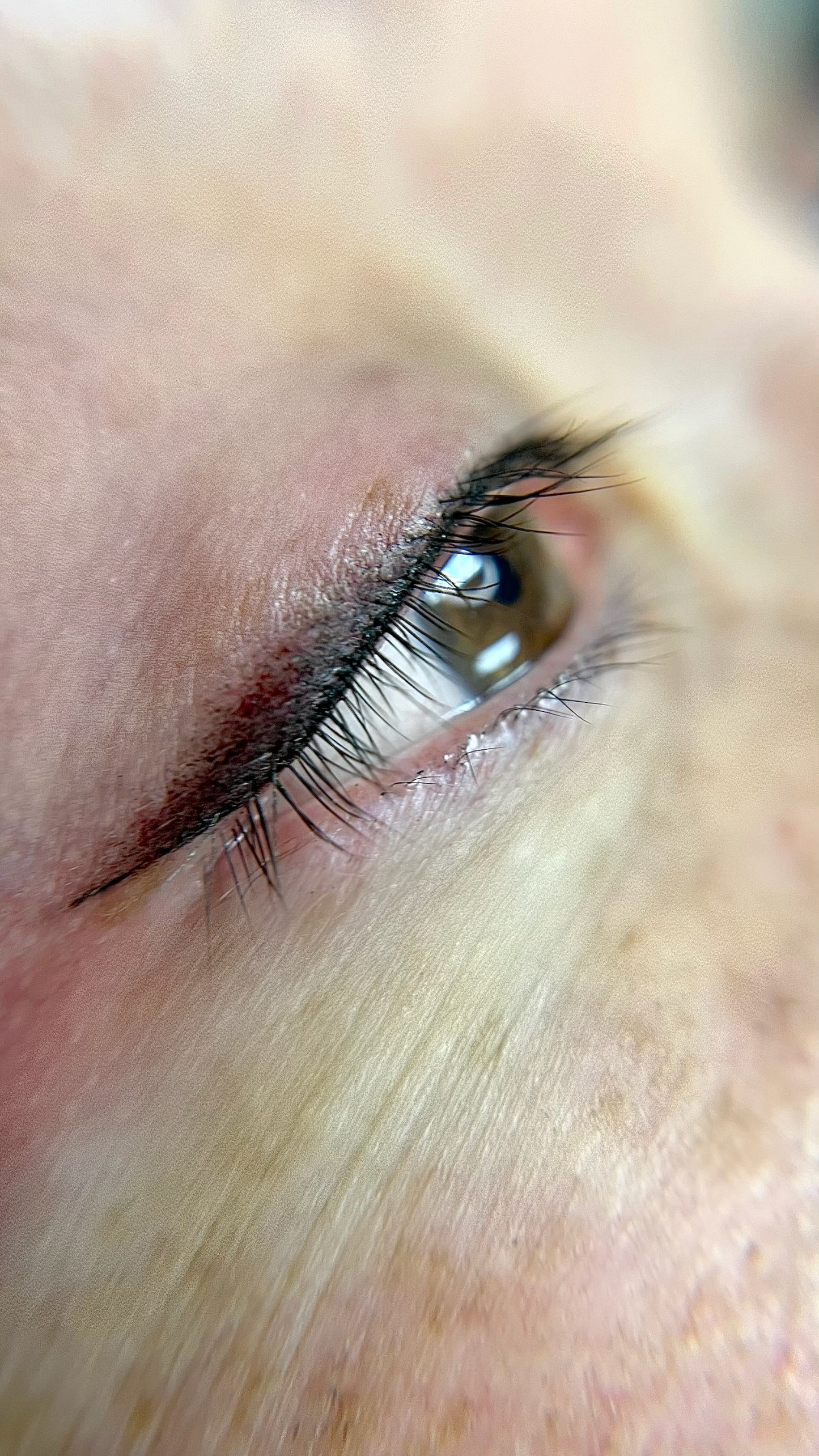 Semi-Permanent Eyeliner