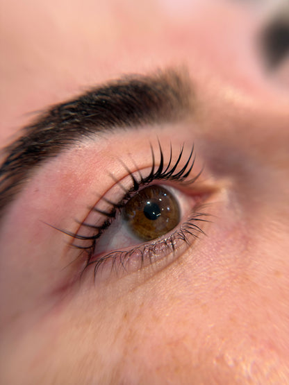 Keratina de Pestañas  Koreana (Lash Lifting)